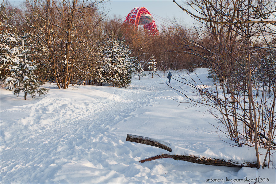 0_9033d_bd046df8_orig.jpg